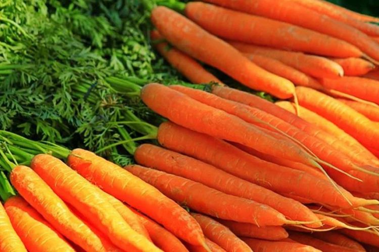 नियमित गाजँर खानुहोस्, १० फाइदा लिनुहोस्