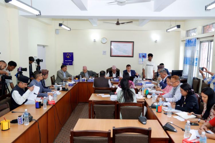 चारवटा संसदीय समितिको बैठक बस्दै, यी हुन् कार्यसूची