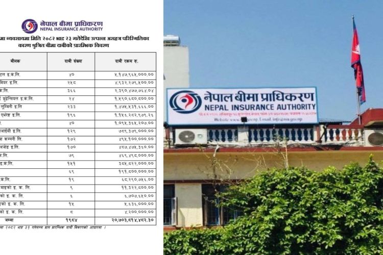 जेनजी आनदोलनको क्षति : २० अर्ब ७० करोड भन्दा बढीको बीमा दाबी