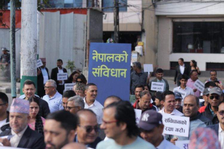 संविधान दिवसको अवसरमा पापडले निकाल्यो वृहत् शान्ति र्‍याली 