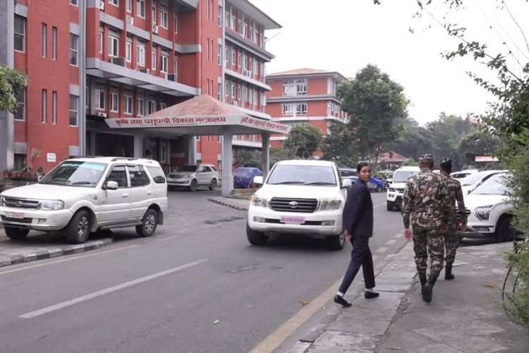 तिहार-छठको लामो बिदापछि सिंहदरबारमा चहलपहल बढ्यो