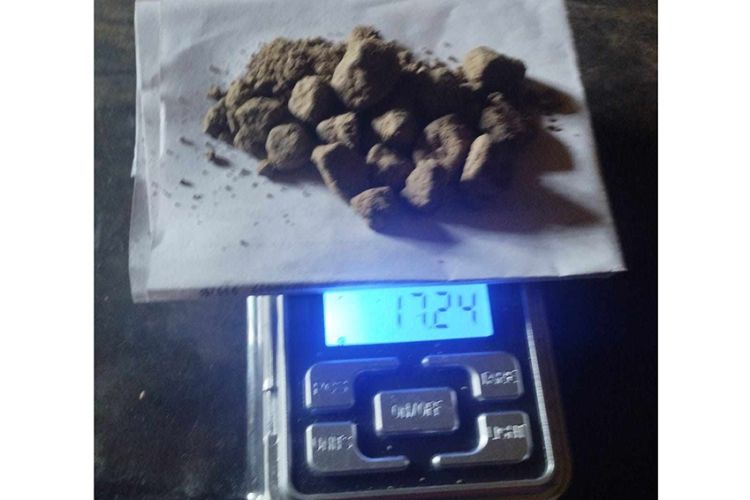 कैलालीमा २० ग्राम खैरो हेरोइनसहित ९ जना पक्राउ