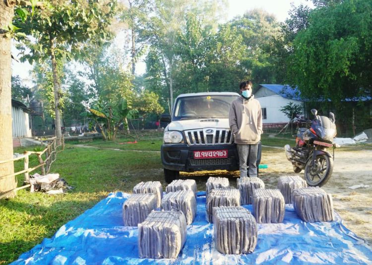 हवाई फायर गरी सशस्त्रले नियन्त्रणमा लियो डेढ सय किलो गाँजा