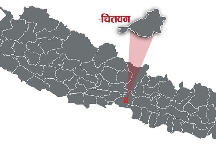 चितवनमा जेनजी आन्दोलनका ९ जना घाइतेले लिए राहत र परिचयपत्र