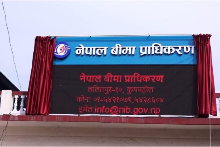 इञ्जिनियरिङमा स्नातकोत्तर गरेकालाई पनि बीमा प्राधिकरणको नेतृत्वमा बाटो खुल्यो
